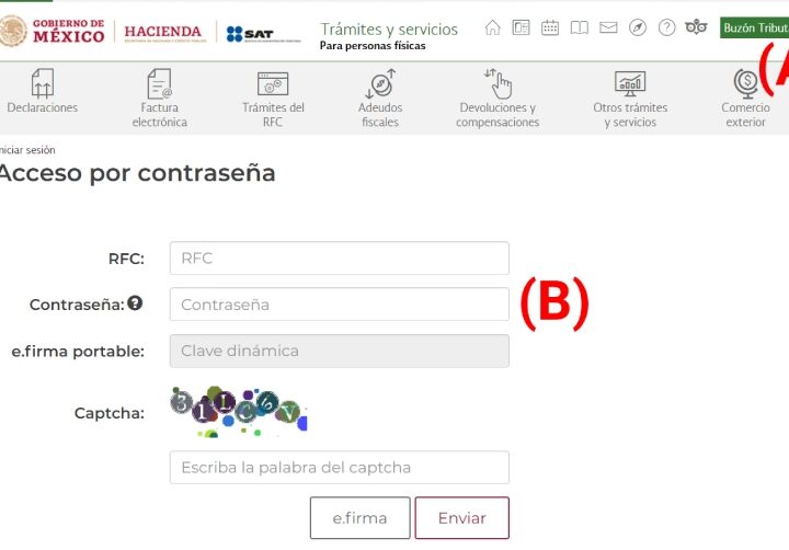 accede a tu declaracion de impuestos guia paso a paso