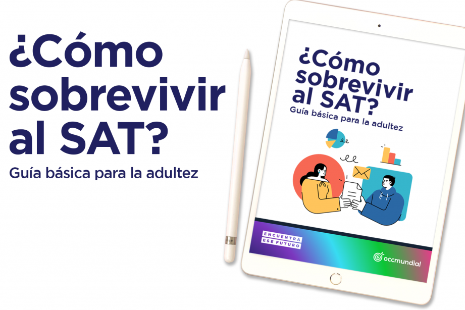 declaracion de impuestos sat guia facil y rapida