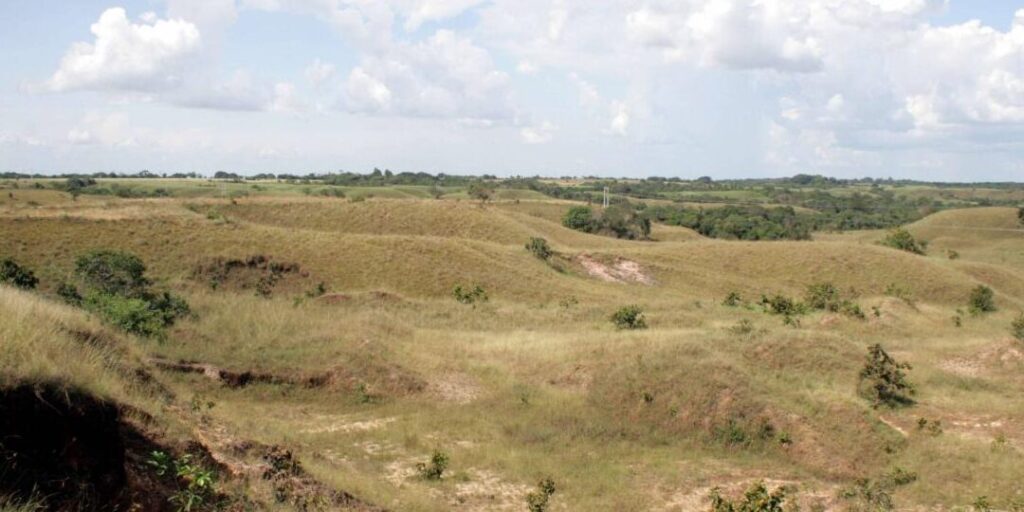 terreno abandonado como pagar sus impuestos